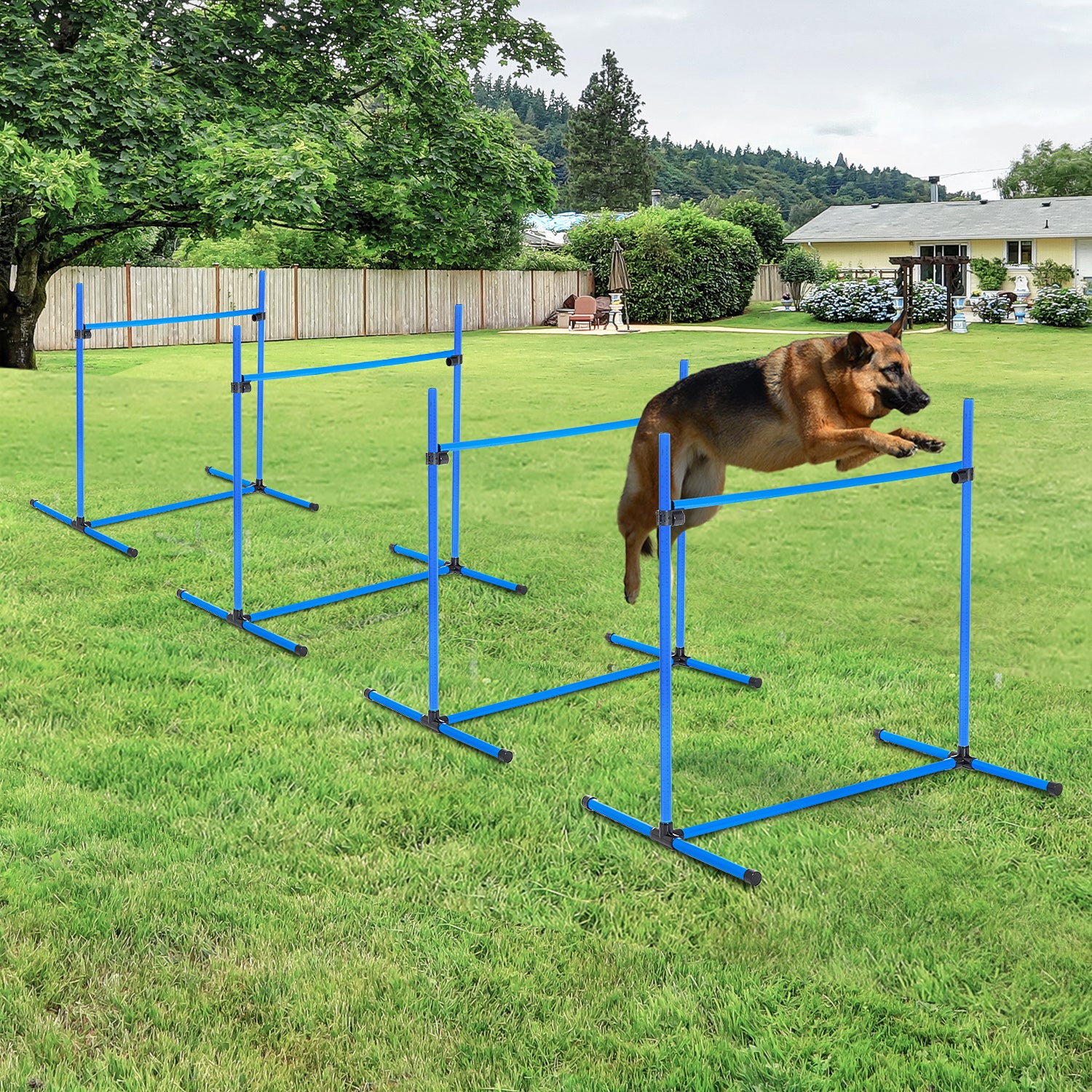 Adjustable Dog Agility Jump Training Set – Indoor & Outdoor Dog Exercise Kit