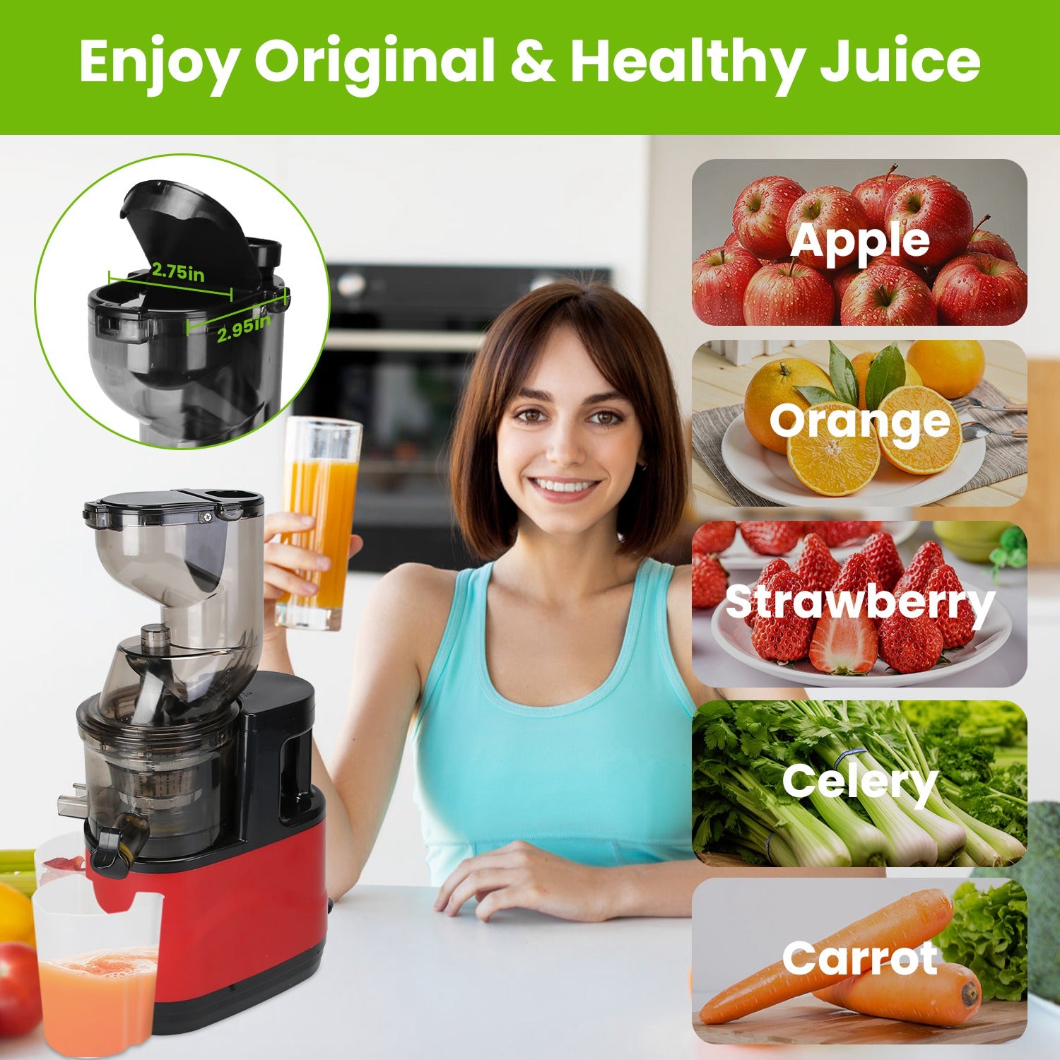 Powerful Cold Press Juicer Slow Masticating High Yield Extractor