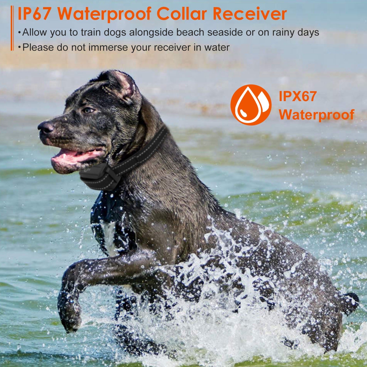 3280FT Dog Training Collar with Remote and Receiver Options