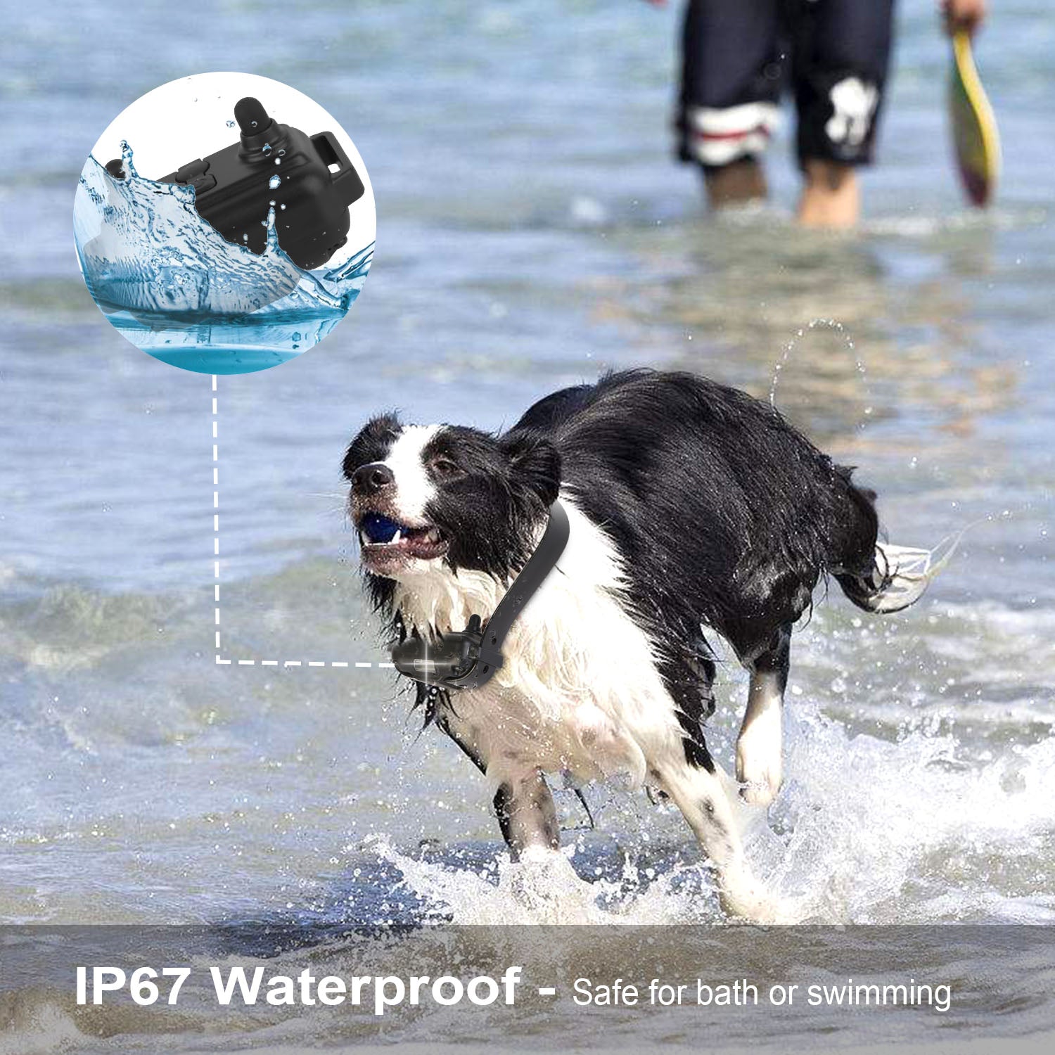Remote Dog Training Collar with Waterproof Design and 4 Training Modes