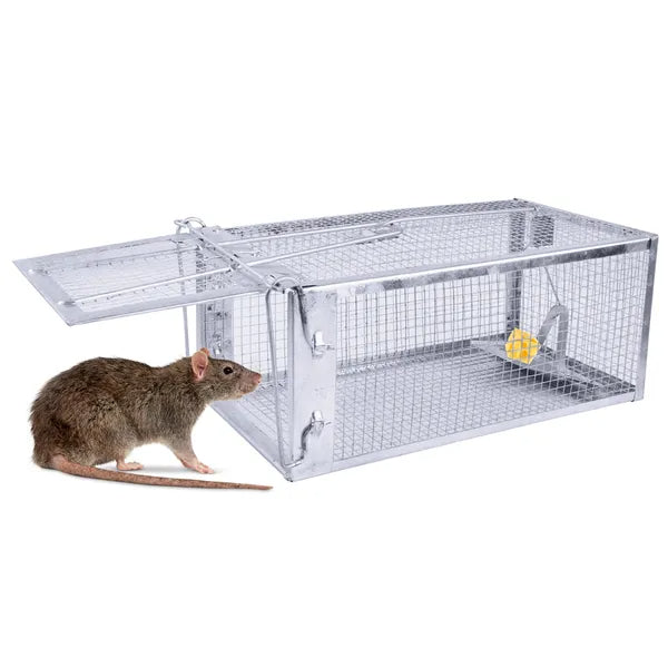 Premium 2 Pack Humane Rat Trap Cage Reusable Metal Design