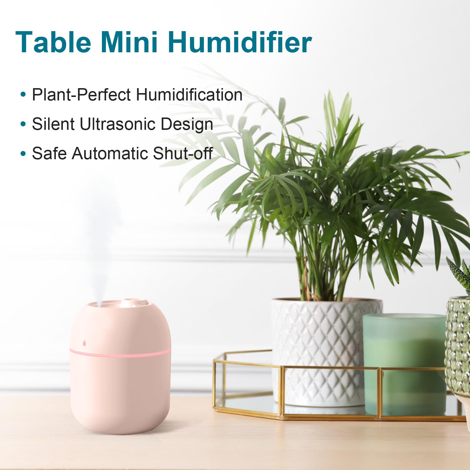 Portable Mini Humidifier 220ml USB Cool Mist Diffuser