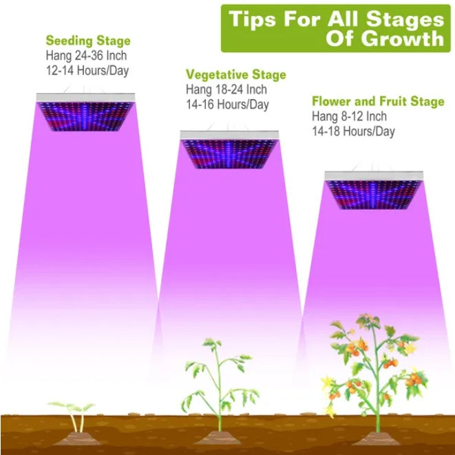 Full Spectrum Plant Grow Light Indoor LED Lamp for Plants