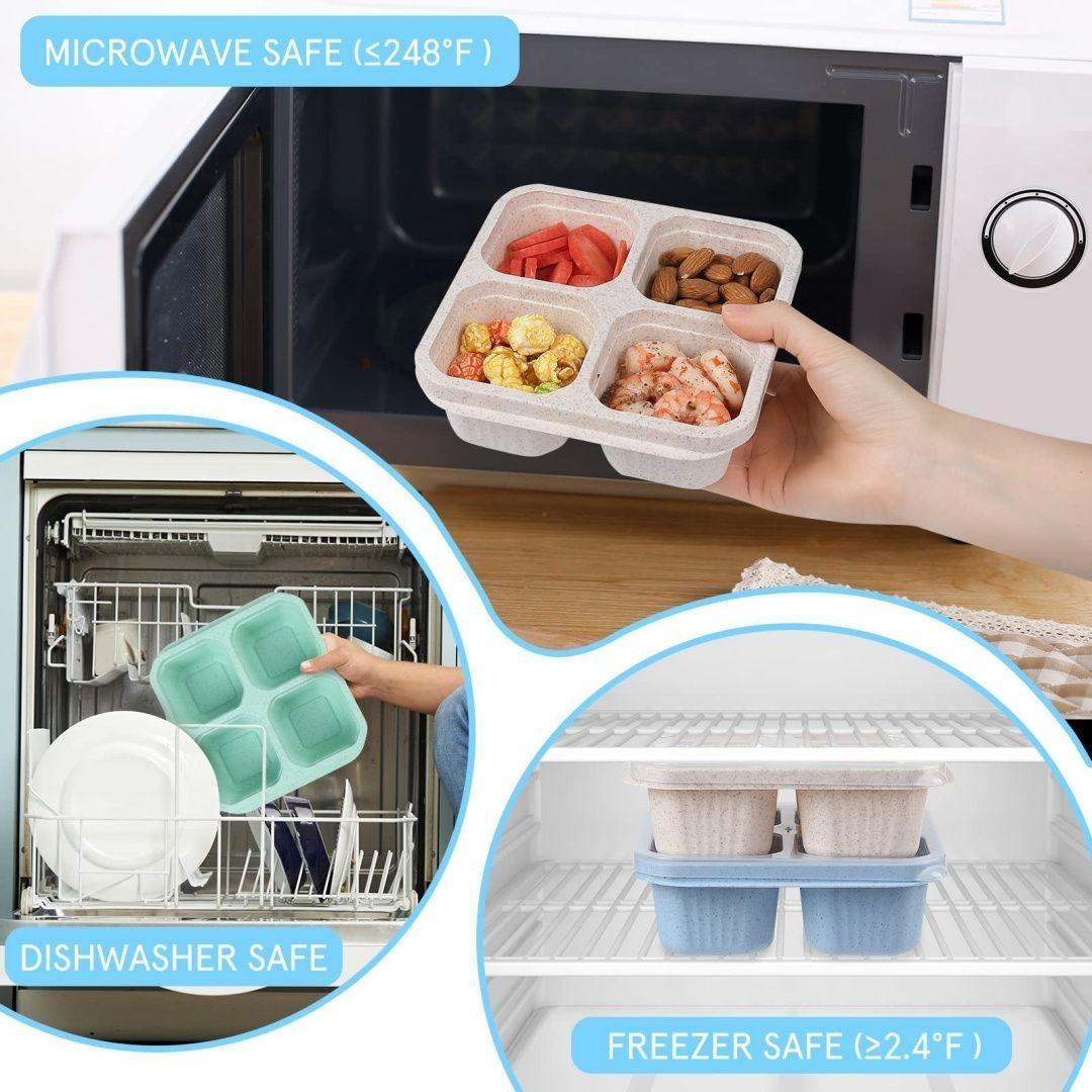 Portable 4 Compartment Eco Lunch Box for Daily Use