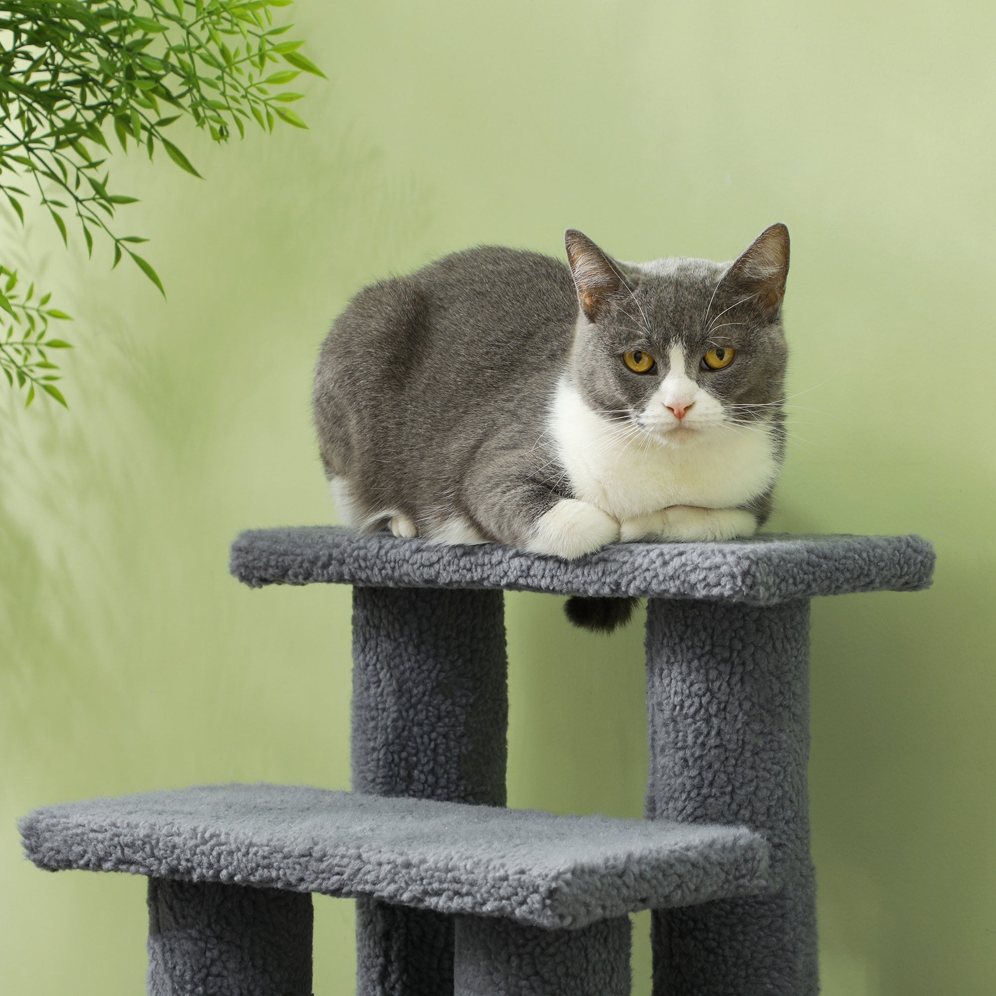 25-Inch 4-Step Cat Scratching Stairs – Multi-Level Carpeted Cat Climber for Indoor Cats