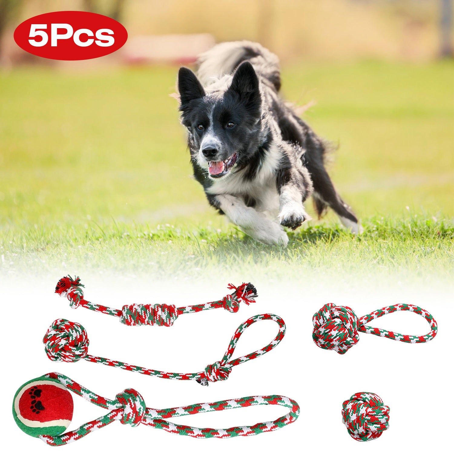 Premium Dog Rope Chew Toy Set for Training and Teething