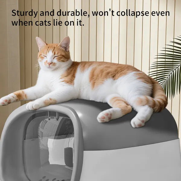 Fully Enclosed Cat Litter Box with Dual Entry – Odor Control Covered Cat Toilet