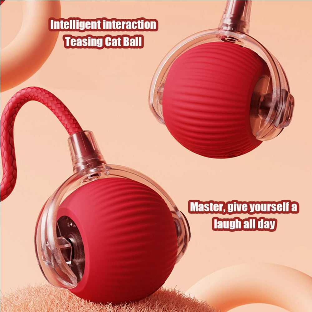 Premium Interactive Rolling Cat Ball Toy for Active Play