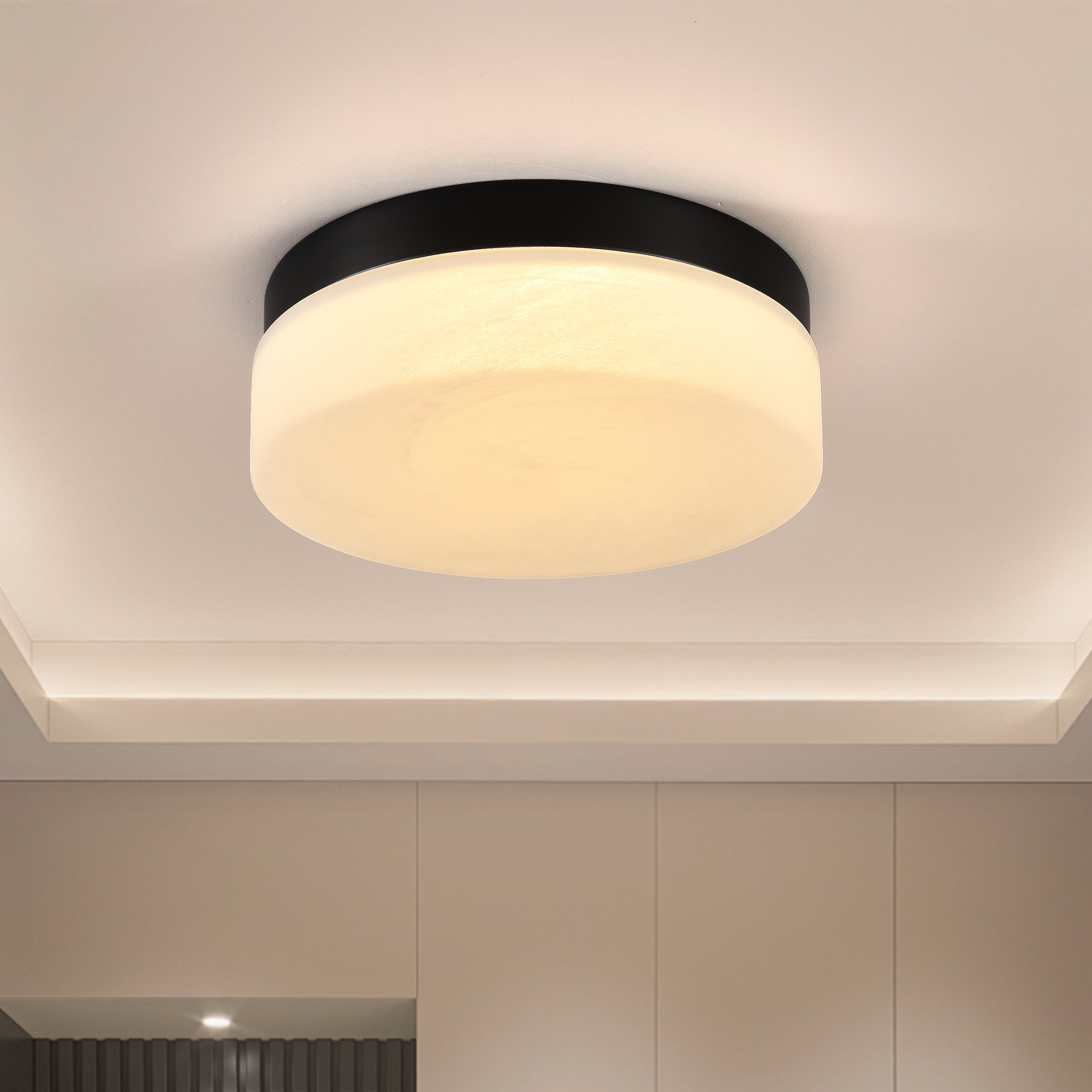 12 Inch LED Ceiling Light 24W Black Flush Mount Round Lamp