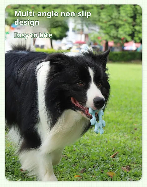 Interactive Dog Flywheel Frisbee Toy for Fun Play and Bonding