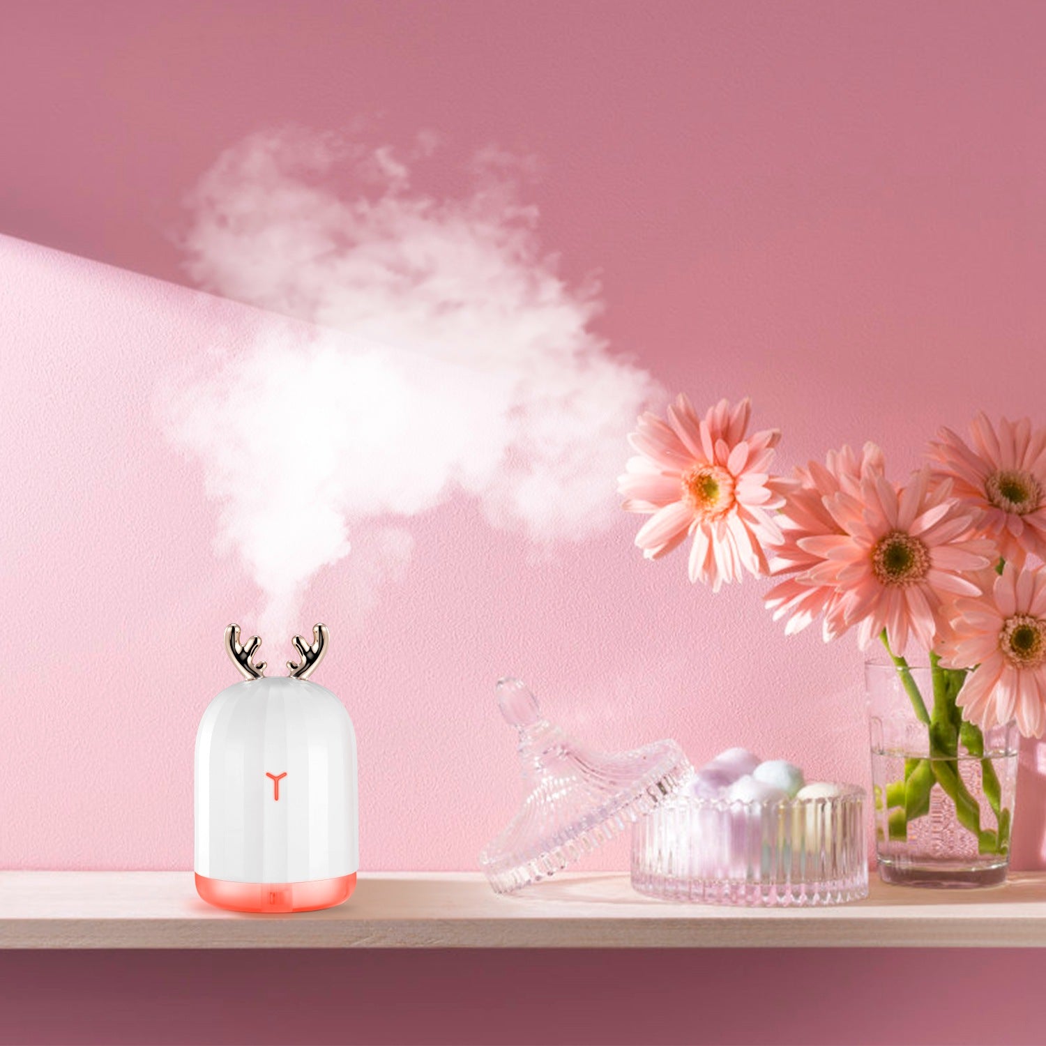 Premium Cool Mist Humidifier Ultrasonic Diffuser LED Light
