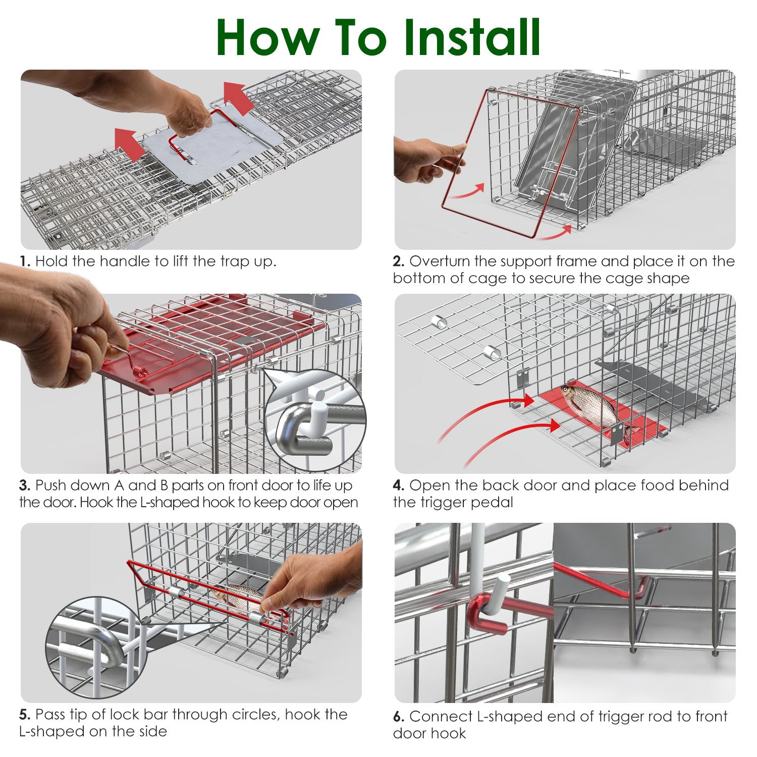 Premium Folding Humane Animal Trap Cage Easy Catch and Release