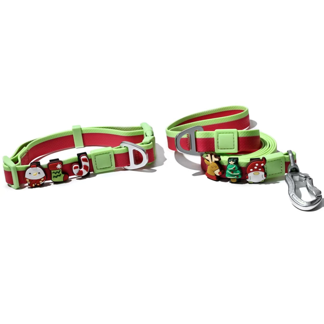 Dual-Color Embossed Pet Leash Set for Stylish Daily Walks