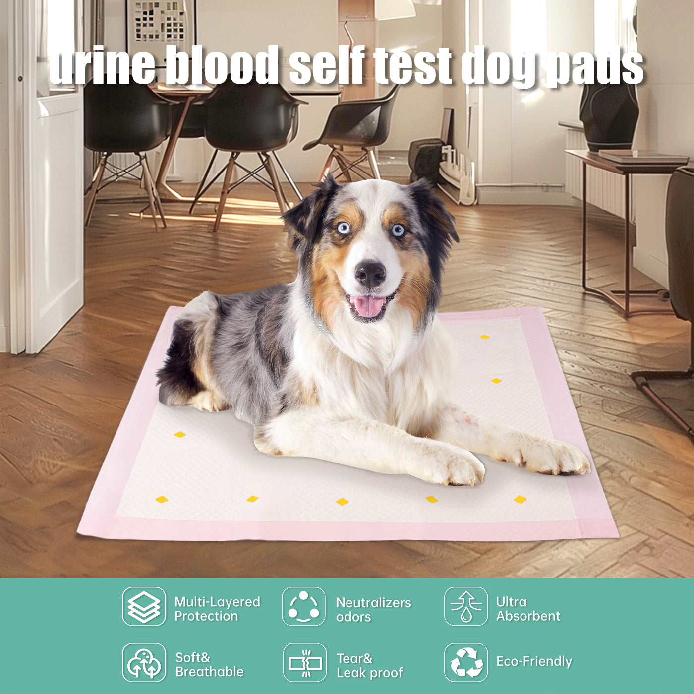 Dog Detection Urine Pad for Accurate Training and Hygiene