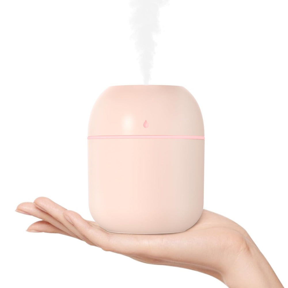 Portable Mini Humidifier 220ml USB Cool Mist Diffuser