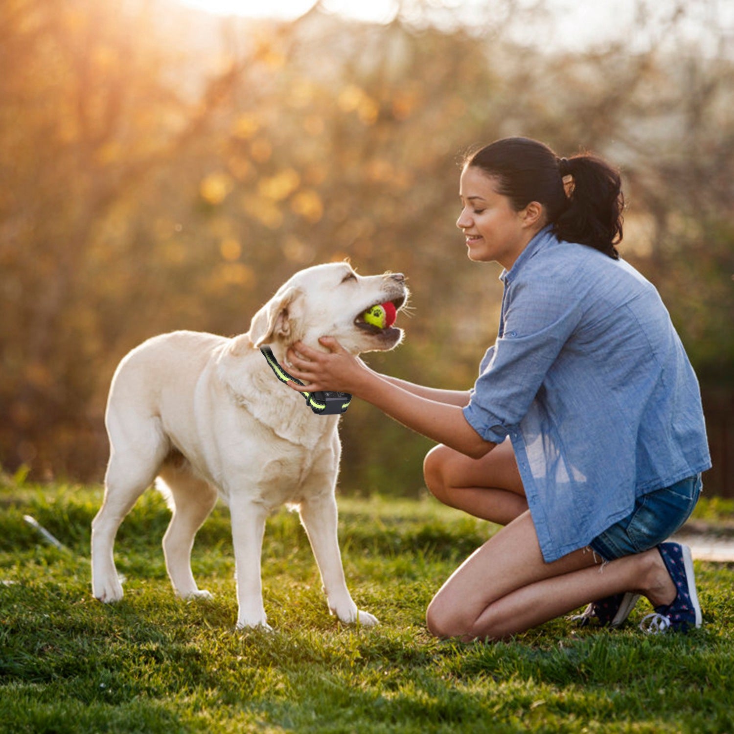 Rechargeable Dog Bark Collar with Waterproof Beep & Vibration Modes