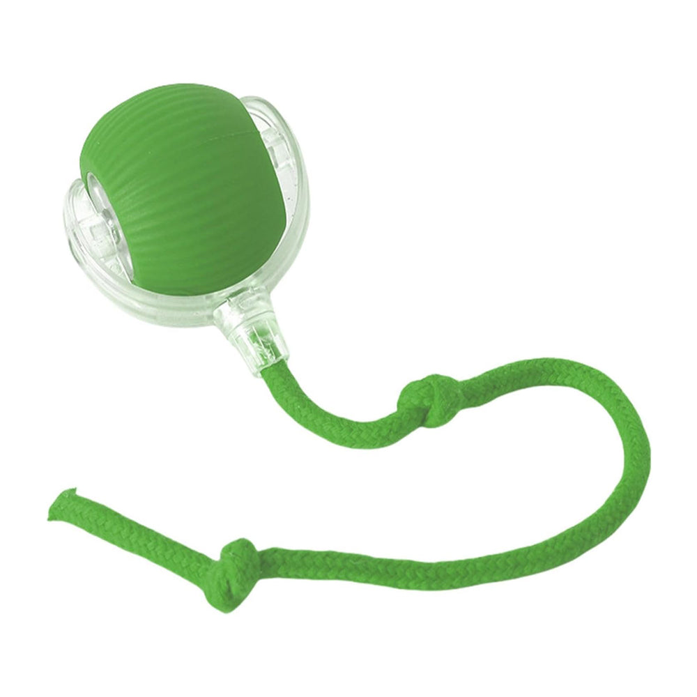 Premium Interactive Rolling Cat Ball Toy for Active Play