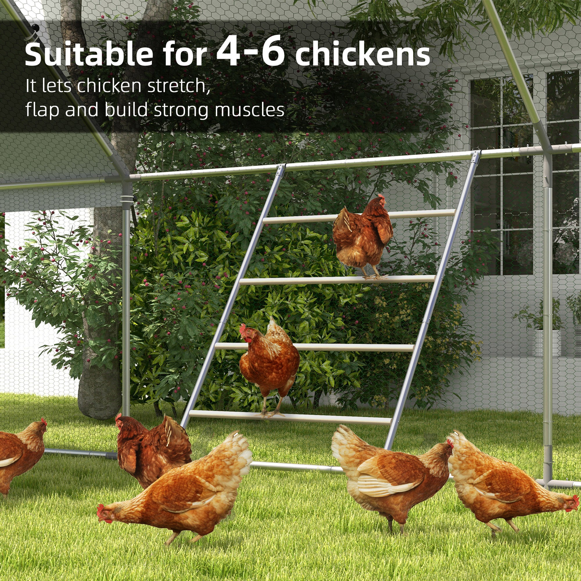 Premium Chicken Roosting Bar Jungle Gym for Coop Durable