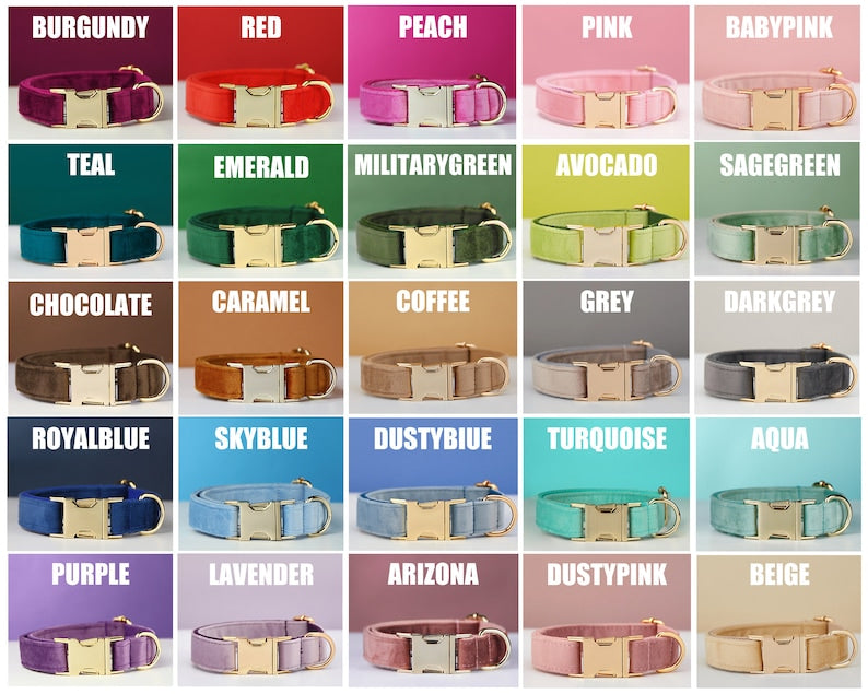 Luxury Velvet Dog Collar and Leash Set Personalized Bow Design