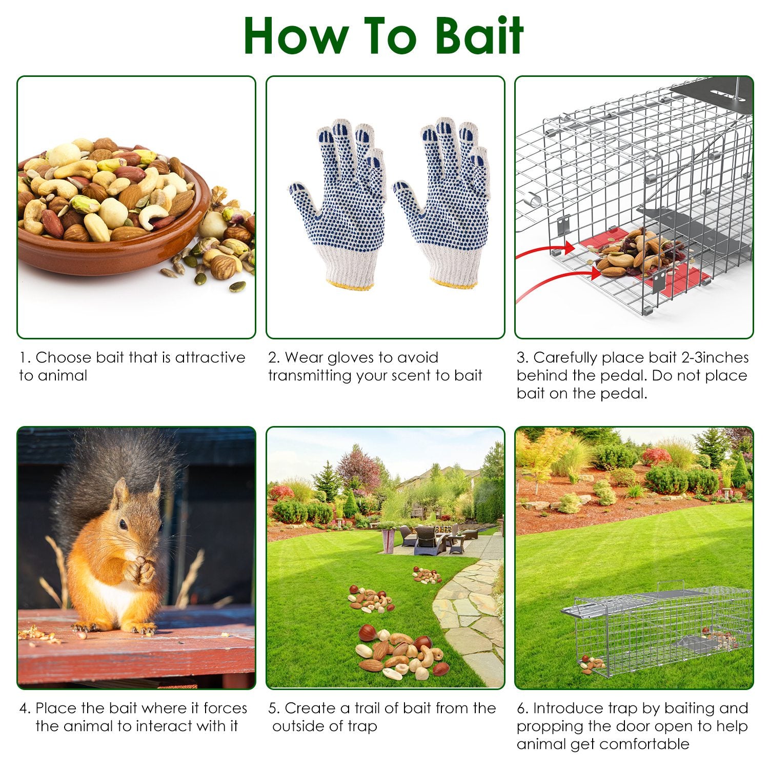 Premium Folding Humane Animal Trap Cage Easy Catch and Release