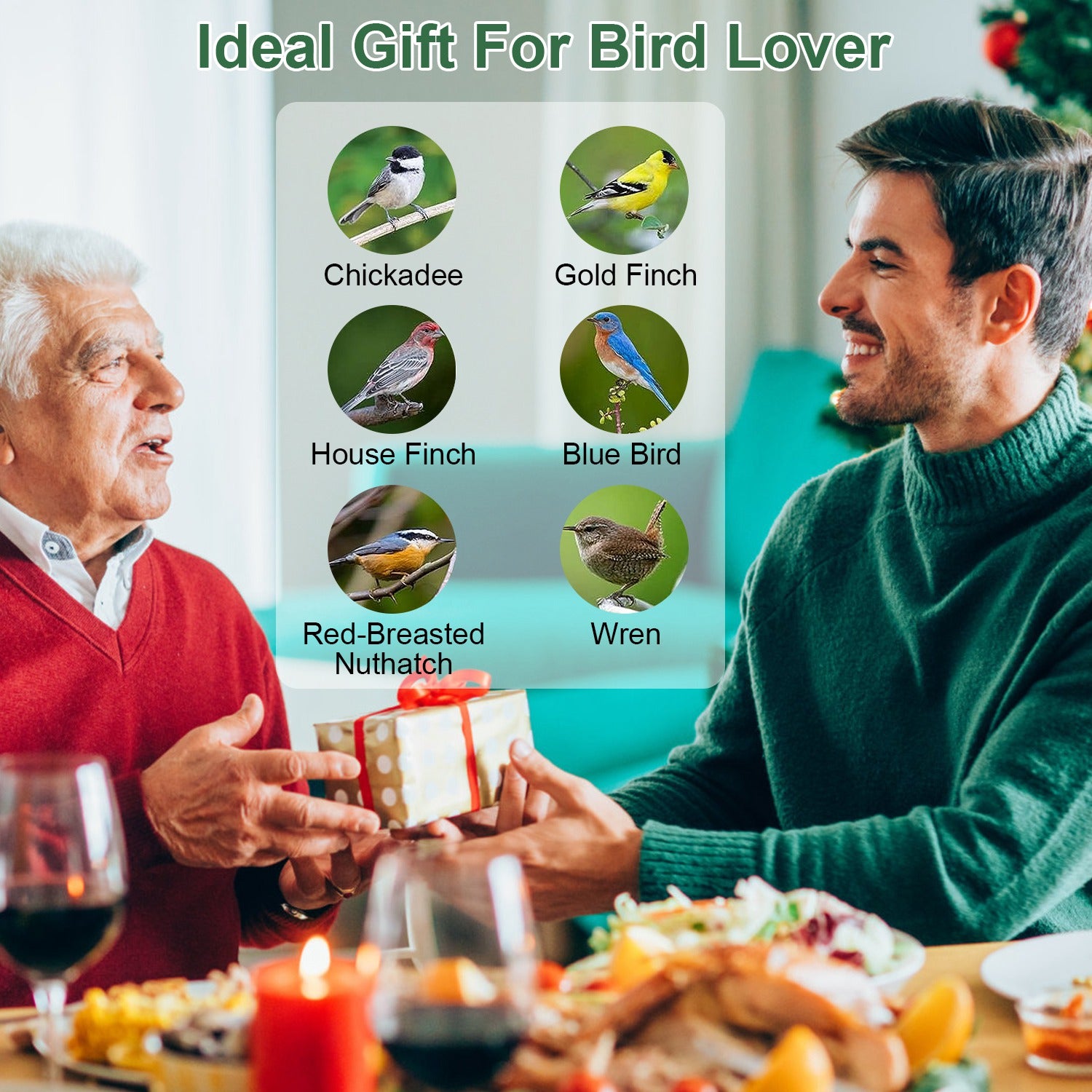 Squirrel Proof Metal Bird Feeder Hanging 4 Port Seed Feeder