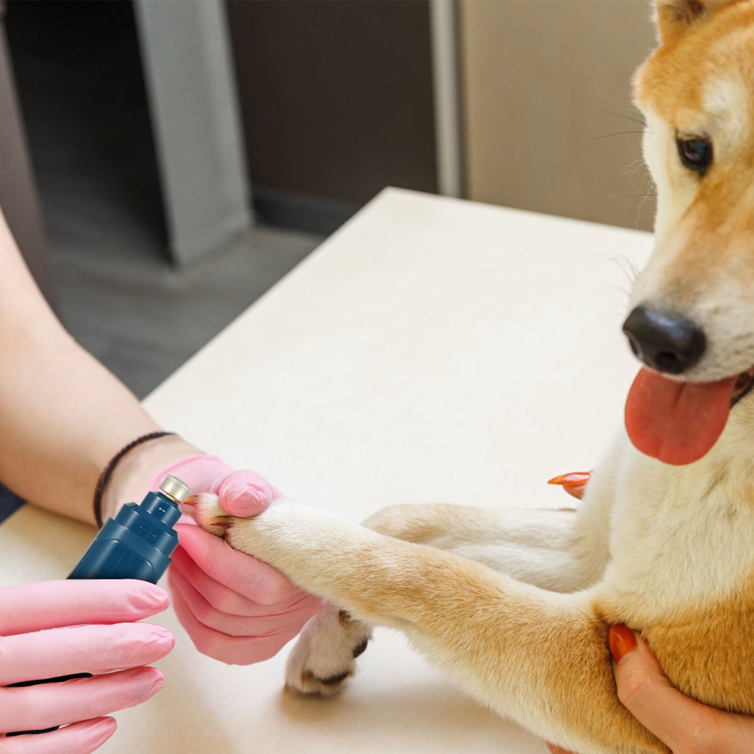 Premium Pet Nail Grinder USB Rechargeable Quiet Grooming Tool