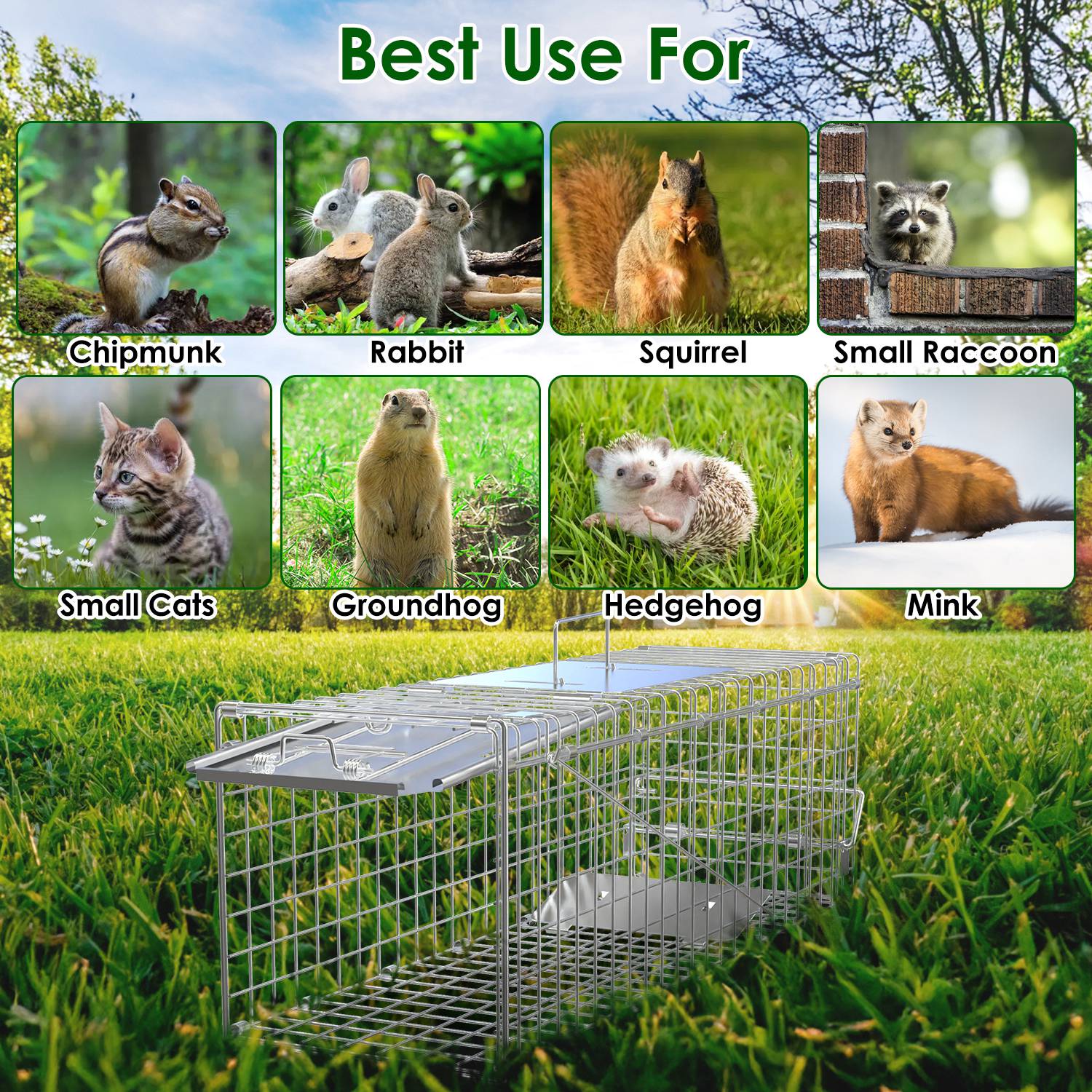 Premium Folding Humane Animal Trap Cage Easy Catch and Release