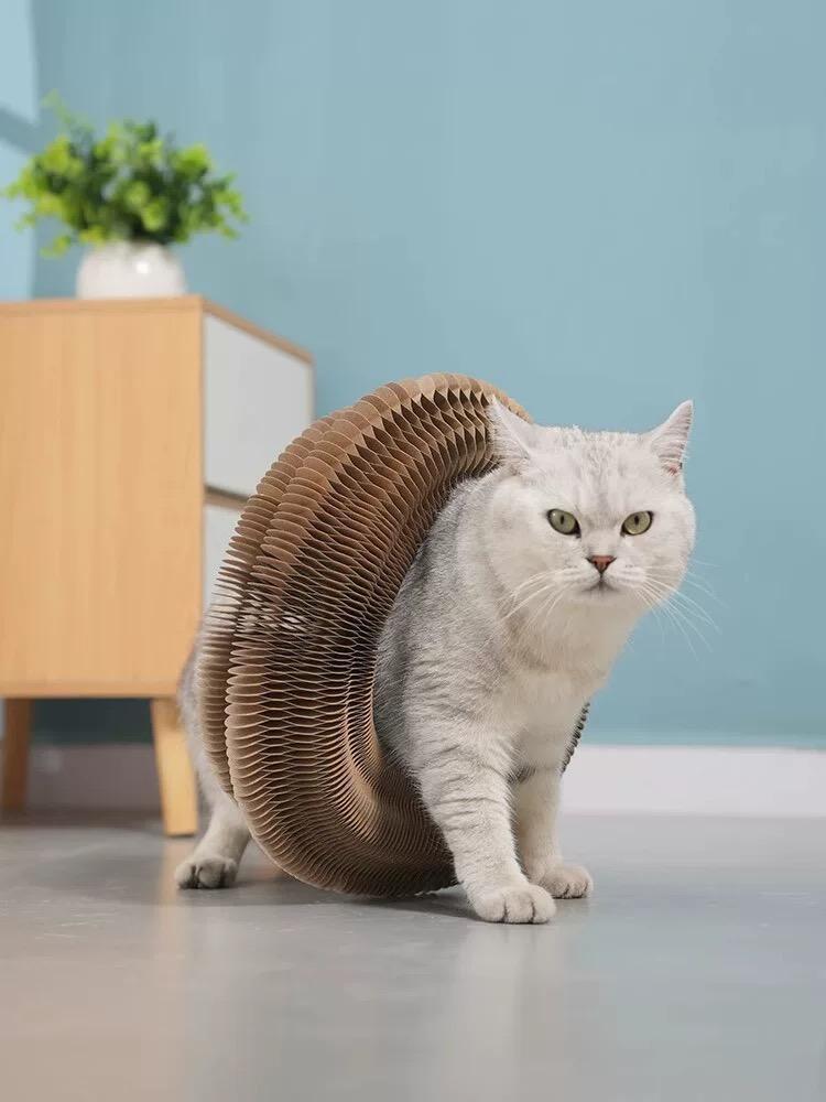 Foldable Cat Scratching Post Toy – Accordion Style Interactive Scratcher with Wood Grain Design