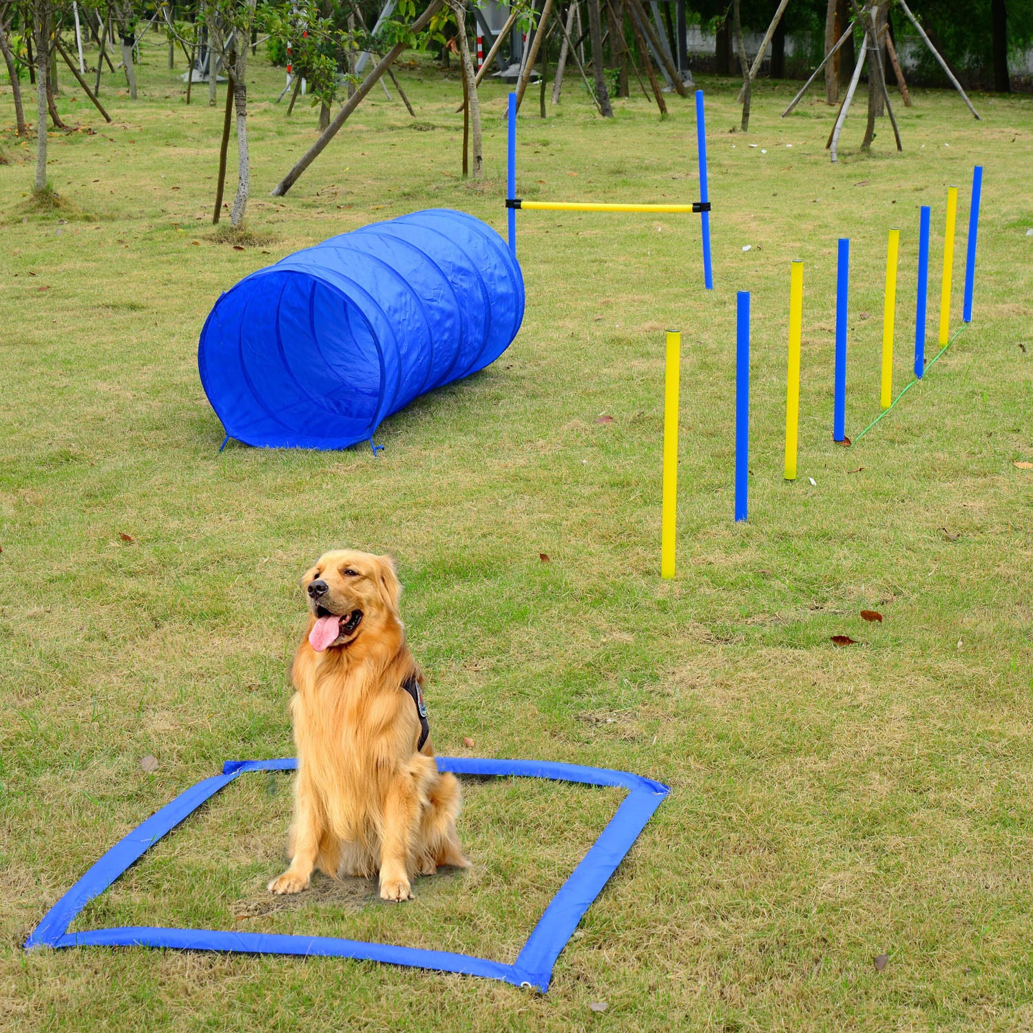 Dog Agility Training Course Set – Adjustable Jump, Tunnel & Weave Pole Obstacle Kit