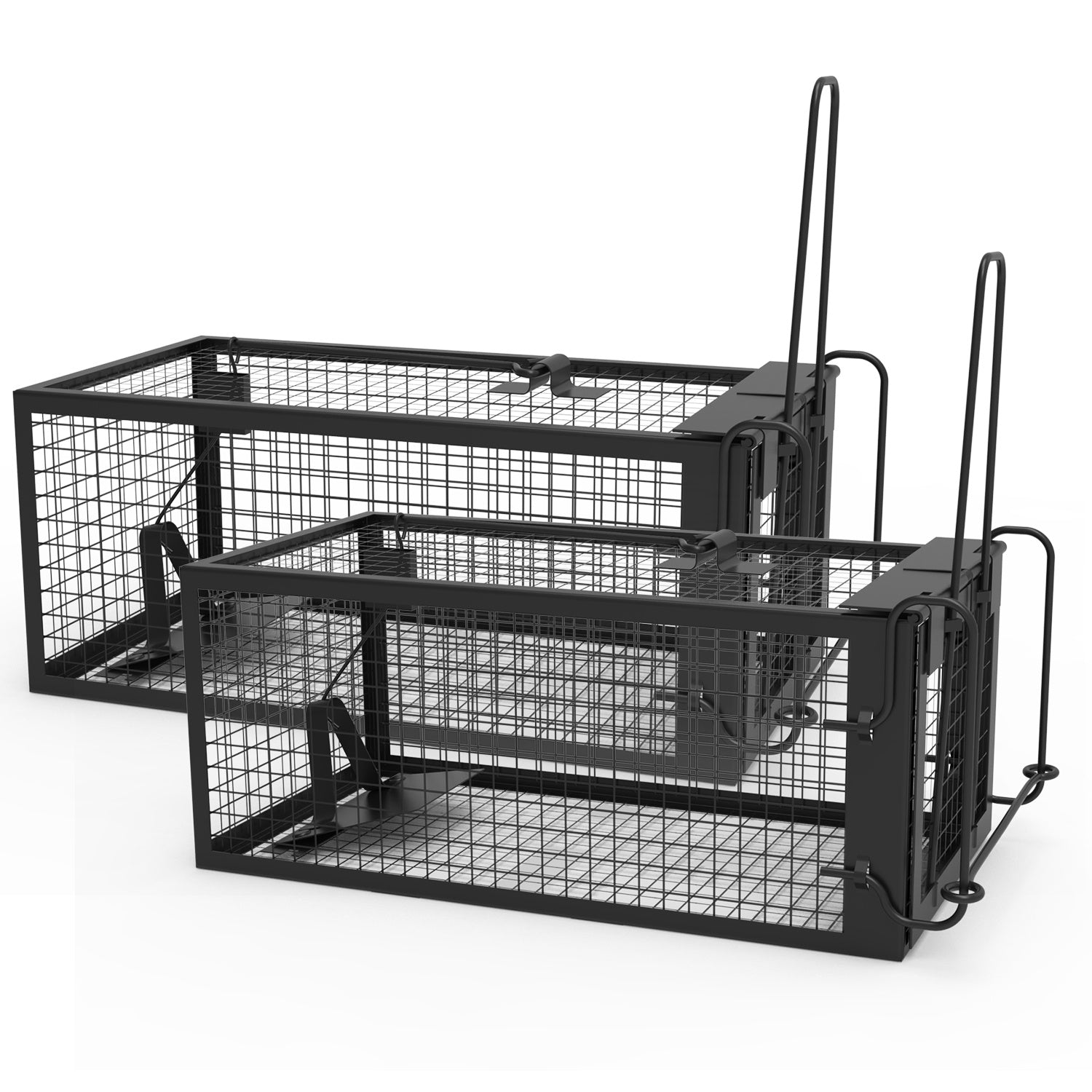 Premium Humane Rat Trap Cage Set for Safe Rodent Control