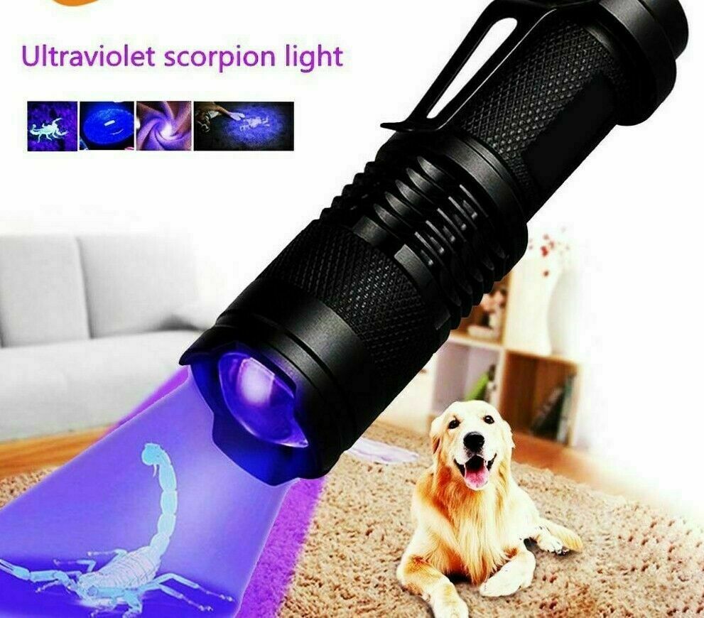 Ultra Bright UV Flashlight 395nm Mini Blacklight Inspection Torch