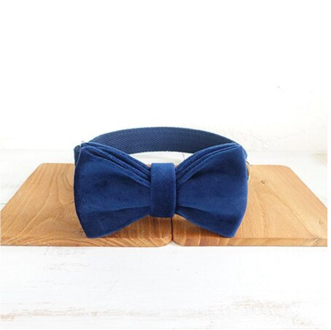 Bow Pet Collar and Traction Dog Chain for Small and Large Pets