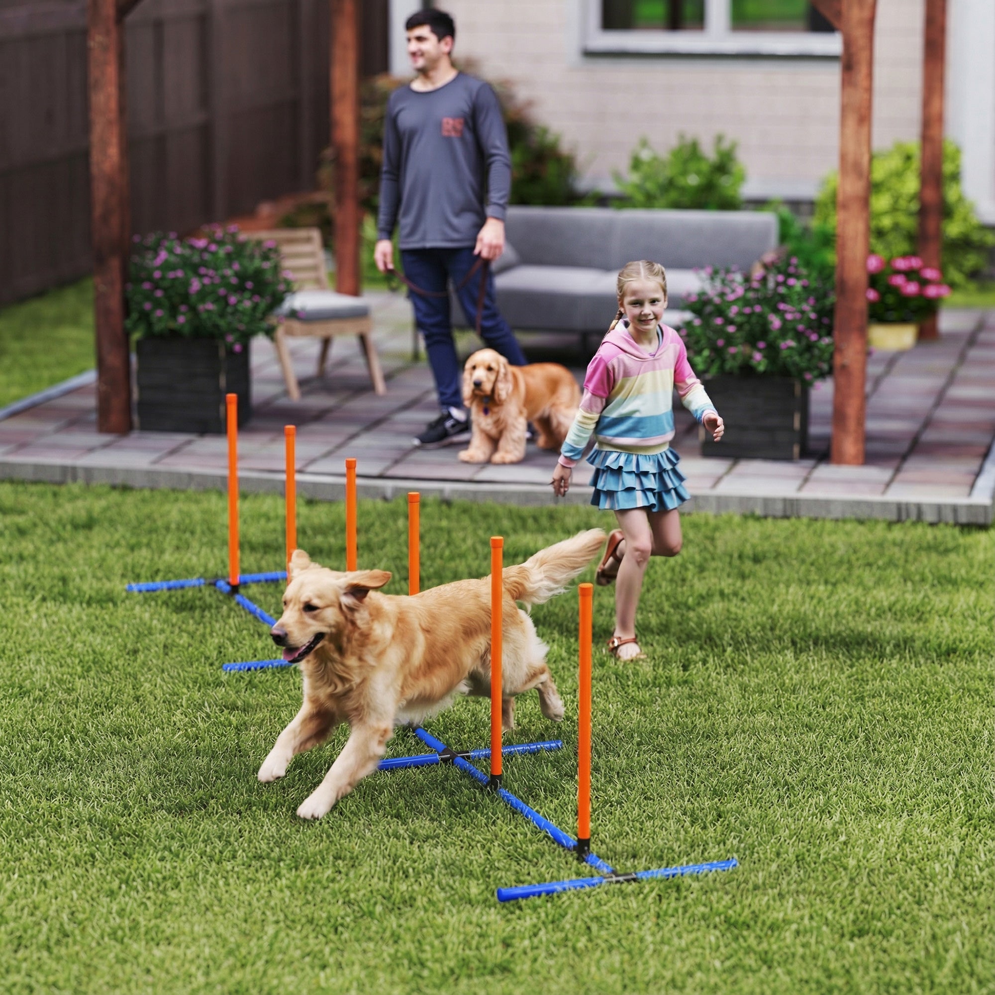 Dog Agility Training Set for Backyard & Indoor Use – Adjustable Agility Jump Course Kit