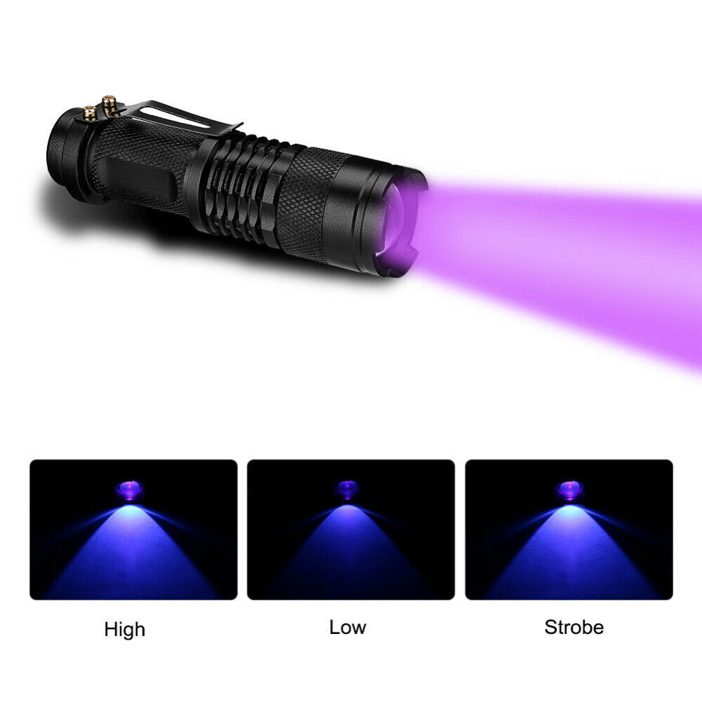 Ultra Bright UV Flashlight 395nm Mini Blacklight Inspection Torch