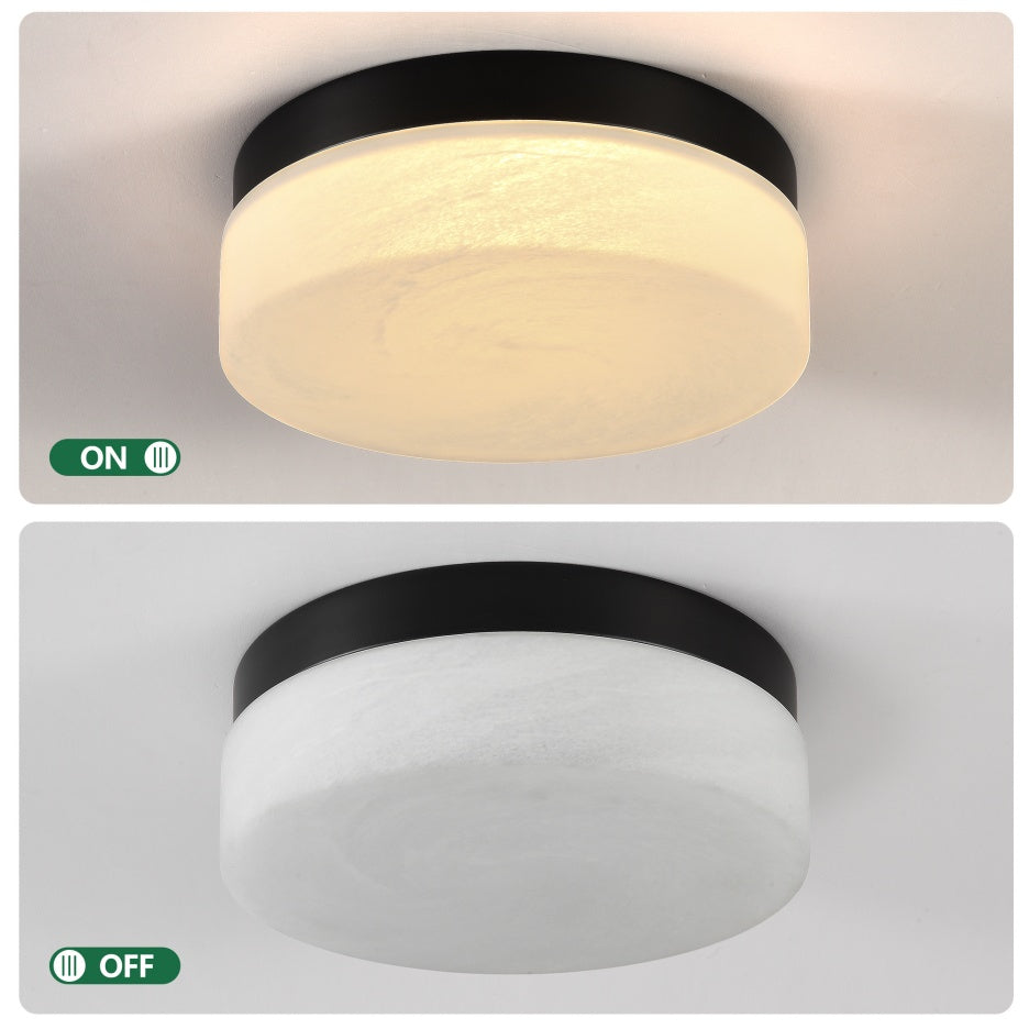 12 Inch LED Ceiling Light 24W Black Flush Mount Round Lamp