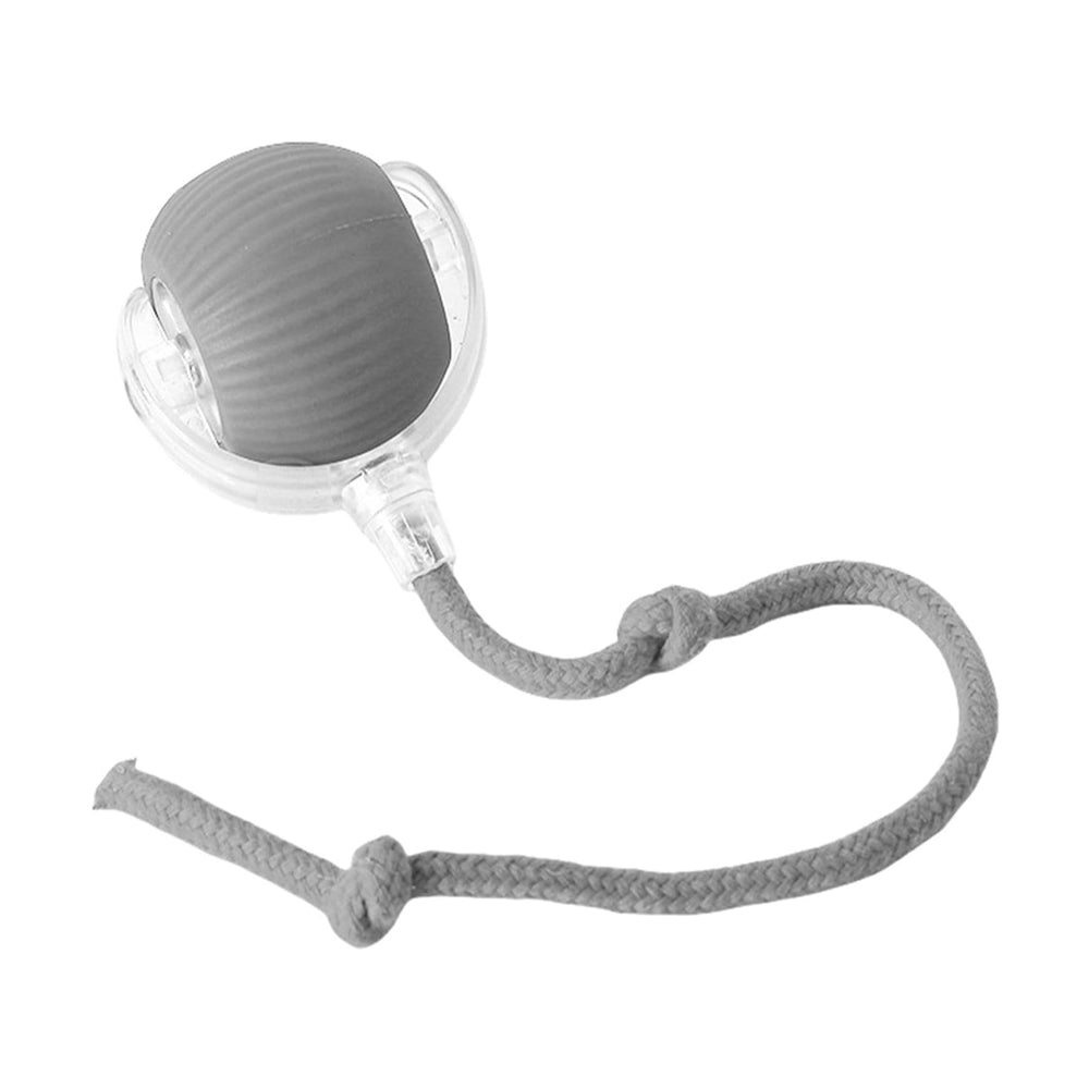 Premium Interactive Rolling Cat Ball Toy for Active Play